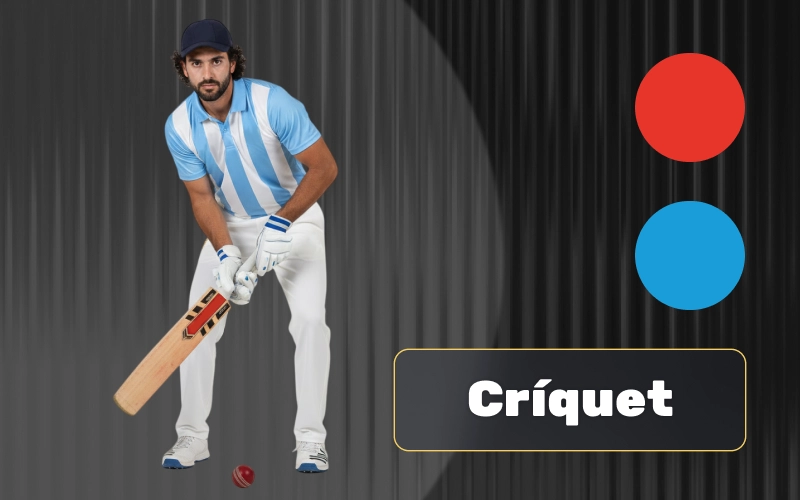 Únete a la comunidad de apuestas de críquet más grande del mundo a través de la aplicación de Megapari.